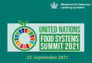 Logo for FN's Food Systems Summit 2021